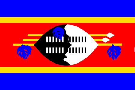  4. Королевство Свазиленд  Каждый из цветов флага имеет определенное значение. Красный символизирует былые сражения и борьбу, голубой - мир и стабильность, желтый - природные ресурсы страны. Черно-белая раскраска щита символизирует мирное сосуществование черной и белой расы.