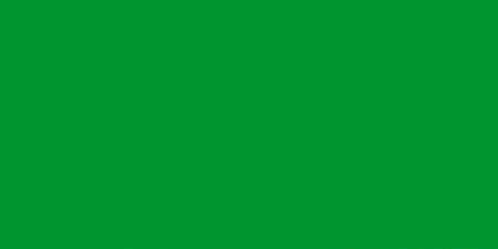  15. Ливия  Флаг Ливии, принятый 11 ноября 1977 года, представляет собой прямоугольное полотнище зелёного цвета с отношением сторон 1:2. Это единственный в мире одноцветный государственный флаг без каких-либо дополнительных деталей, рисунков, надписей и т. п.