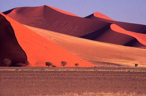 13. Красные песчаные дюны пустыни Намиб, Намибия. Пески такого необычайно красного цвета как в пустыне Намиб редко можно увидеть в природе. (Photographer: Brian Preen)