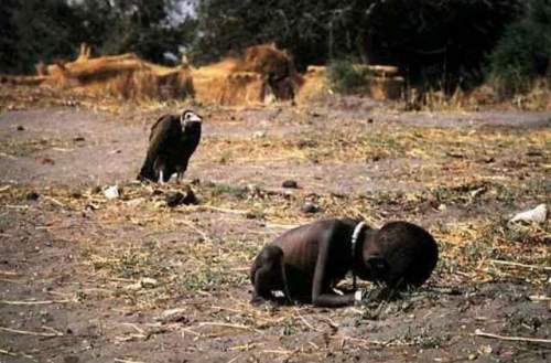  1994 г. Кевин Картер за фотографию умирающего от голода ребенка и наблюдающего за ним стервятника 