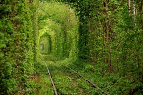 Тоннель любви в Клевани, Украина