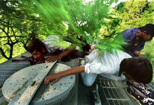  2003 г. Дон Бартлетти (Los Angeles Times) за серию фотографий молодых людей, пытающихся уехать из Центральной Америки на север США и подвергающихся смертельной опасности 
