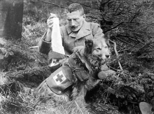 Британский солдат достает бинты из собачьей аптечки во время Первой мировой войны, 1915 год.