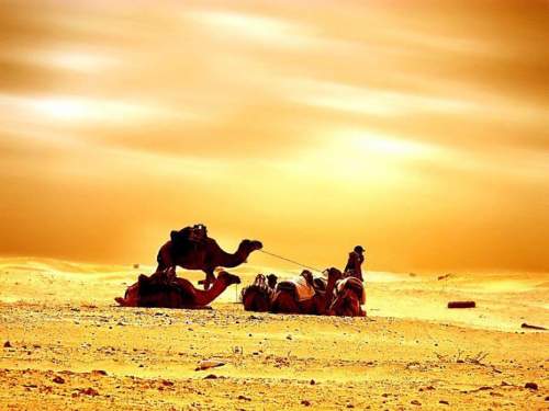 10. Остановка в пути. Пустыня Сахара на территории Туниса. (Photographer: andzer)