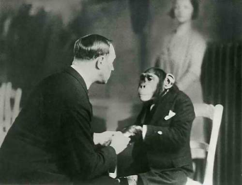 Телепат пытается загипнотизировать шимпанзе, 1941 год.