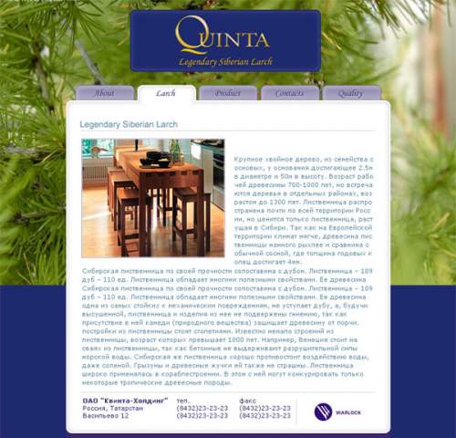 Quinta-холдинг