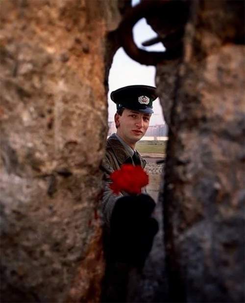 Пограничник Восточной Германии предлагает цветок через брешь в Берлинской стене утром, когда она упала, 1989 г.