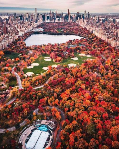 Осень в Нью-Йорке: вид на Центральный парк с высоты